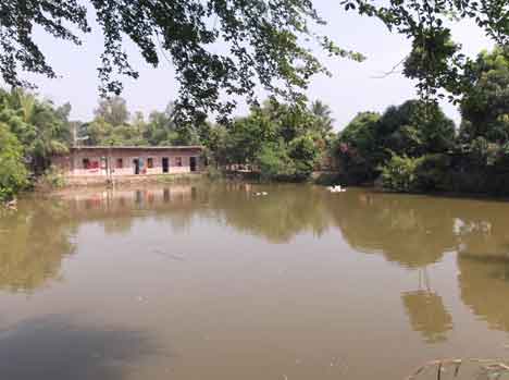 Inside View of Madrasa